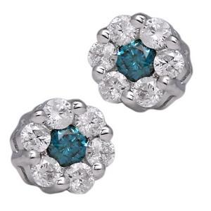 Blue and White Diamond Earring 0.67cttw 14kt Gold