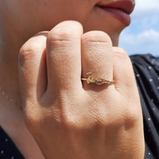 14K Gold Grand Cayman Outline Map Ring