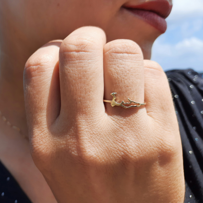 14kt Gold Cayman Map Ring